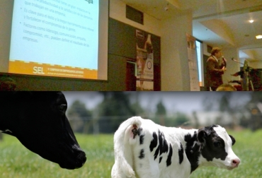 La facilidad o dificultad de preñar una vaca depende del manejo sanitario y nutricional que se dé al animal. Foto: CONtexto ganadero. reproducción animal