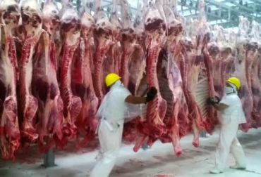 Esta certificación le abre las puertas a Colombia para exportar carne. Foto: CONtexto ganadero. certificación internacional HACCP