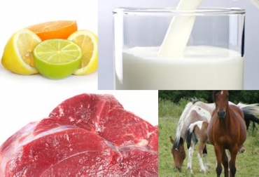 Para los quesos, leche, carne y animales en pie, el panorama de entrada aún no es claro. Foto: CONtexto ganadero. leche y carne colombiana a la unión europea