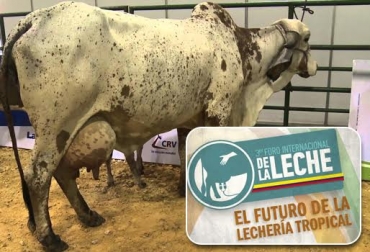 El Foro, que llega a su tercera versión, es organizado por la Federación Colombiana de Ganaderos y el Fondo Nacional del Ganado. Foto: CONtexto ganadero. 3er Foro Internacional de la Leche 2015