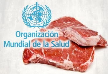 El estado actual de las investigaciones "no permite" aún determinar una cantidad sana de consumo de carne, subraya la OMS. Foto: CONtexto ganadero. consumo carne oms