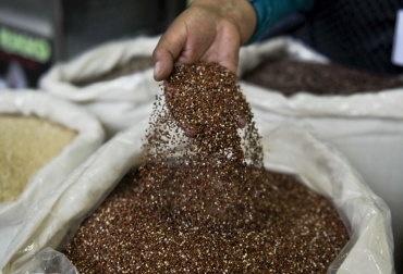 Mensualmente se están vendiendo 300 hamburguesas hechas con quinoa. Foto: AFP. hamburguesa de quinoa