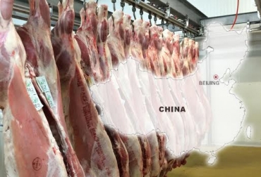 Expertos del sector cárnico hablaron de la necesidad de carnes que tiene el gigante asiático. Foto: CONtexto ganadero. carne de res en China