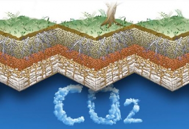 La AIE cree que hay que enterrar 90 mil millones de toneladas de CO2 emitidas por la industria para limitar el calentamiento a un máximo de 2°C. Foto: CONtexto ganadero. almacenamiento de CO2