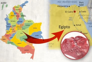 2016 será un año decisivo para el ingreso de la carne colombiana a Egipto. Foto: CONtexto ganadero. exportaciones de carne colombia a egipto