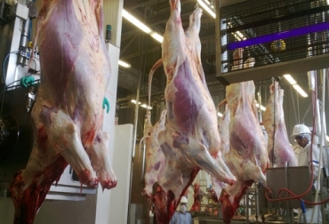 Las 4 plantas que se escojan deberán cumplir la normatividad del Decreto 1550. Foto: CONtexto ganadero. exportaciones de carne a Estados Unidos