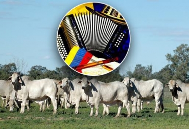 Los ganaderos de Colombia reciben con beneplácito anuncio de la Unesco. Foto: Foto: www.bibliotecajb.org-CONtexto ganadero. vallenato patrimonio inmaterial humano