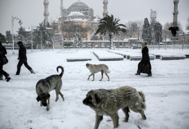 La explanada nevada frente a la mezquita Azul de Estambul el 31 de diciembre de 2015. Foto: AFP. cambio climático en el mundo