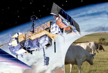 Los dispositivos controlan las 5.000 vacas que tiene Murray Grey en 202 mil hectáreas. Foto: Nasa / murraygrey.com.au. Satélites para vigilar vacas