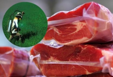 La presencia de estos químicos en la carne ocasiona rechazo en la compra del alimento en muchos países. Foto: carnemexicana.wordpress.com / dietaintolerancias.blogspot.com. plaguicidas en pastos y carne
