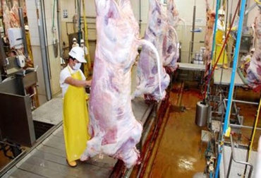 El proyecto Pines contempla alcanzar la admisibilidad sanitaria para la carne de res en EE.UU. para 2018. Foto: CONtexto Ganadero. frigoríficos exportación carne Colombia