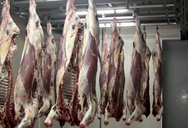 Uruguay es el país suramericano que mejor ha posicionado su carne en Israel. Foto: CONtexto ganadero. carne israel