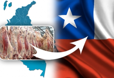 Autorizan la exportación de carne bovina colombiana a Chile. Foto: CONtexto Ganadero. Colombia exportará carne a Chile, 2 plantas de Colombia exportarán carne a Chile, SAG autorizó exportar a 2 plantas de beneficio