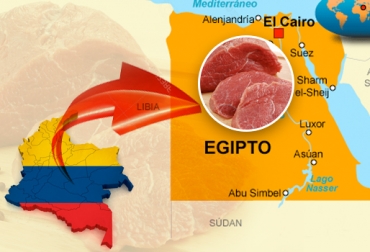 Fedegán y el FEP han venido impulsando y garantizando que en materia de admisibilidad sanitaria para la carne bovina se realice un trabajo público – privado. Foto: excellenttours.com / www.blogrecetas.com. exportaciones de carne a Egipto, trabajo de Fedegán y FEP, admisibilidad sanitaria, carne bovina, trabajo público – privado, reapertura del mercado egipcio, ganaderos de Colombia, sector cárnico de Colombia, CONtexto ganadero.