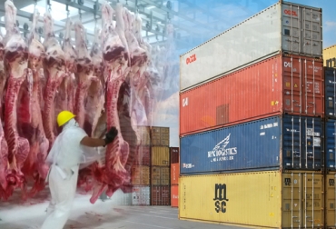 Finalmente, se escogieron 3 de los 4 frigoríficos de carne bovina que tendrán la posibilidad de exportar carne a varios mercados. Foto: asesoresdepymes.com / CONtexto ganadero. programa Pines, programa PTP, Gobierno Nacional, exportación de carne a EE.UU., plantas de beneficio animal, admisibilidad, trazabilidad, Decreto 1500, contexto ganadero
