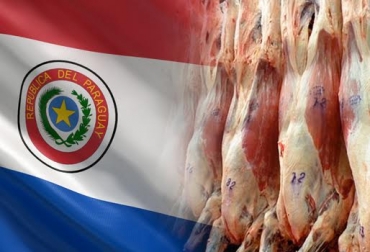 El producto recientemente empezó a venderse en Suiza. En total son 66 naciones a las que llega la proteína paraguaya. Foto: fotorecurso.com - economiavirtual.com.py. carne paraguay, carne paraguaya, venta de carne paraguay, mercado internacional de la carne paraguaya, consumidores de carne paraguaya