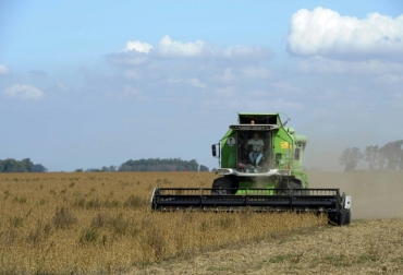Un campo de soja transgénica cerca de Gálvez, en Santa Fe (Argentina) el 11 de abril de 2012. Foto: AFP. cultivos modificados genéticamente cuba