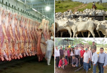 Paraguay ocupa el sexto lugar entre los mayores exportadores mundiales de carne. Foto: www.5dias.com.py / www.mag.gov.py / www.elagro.com.py. Ganadería social, Ganadería social noticias, Ganadería social paraguay, Ganadería social modelo, CONtexto ganadero