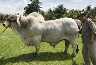 Del 4 al 11 de noviembre se llevará a cabo a 10° Gira Ganadera Internacional de Fedegán. Foto: @jflafaurie Laureano del Alba, Rancho Rosa del Alba, rancho ganadero de Veracruz, ganaderos mexicanos, ganaderos colombianos, gira ganadera de Fedegán, gira ganadera de México, gira internacional a México, ganaderos de colombia, gira de fedegan, décima Gira Internacional de Fedegán, CONtexto ganadero