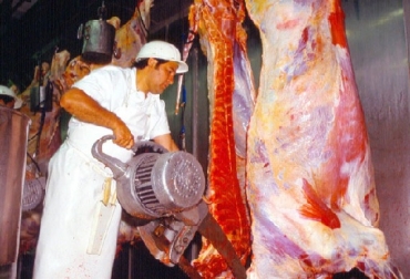 Foto: agrotemario.com Panamá, Argentina, Panamá importaciones de carne, Panamá mira hacia Argentina para las importaciones de carne bovina, CONtexto ganadero, ganadería Colombia, Noticias ganaderas Colombia