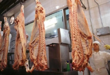 En los primeros once meses del año se han sacrificado 11,5 millones de bovinos, señaló el Consorcio de Exportadores de Carnes Argentinas ABC. Foto: agrovoz.lavoz.com.ar Argentina, faena, bovino, consumo percápita, Consorcio de Exportadores de Carnes Argentinas ABC, Mario Ravettino, CONtexto ganadero, ganadería Colombia, Noticias ganaderas Colombia