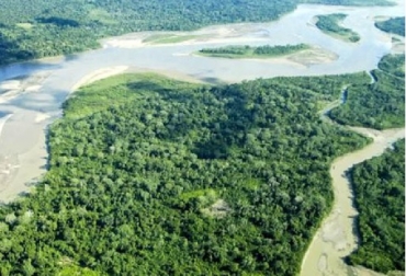 La tala ilegal de árboles, la minería ilegal y el narcotráfico son los principales agentes destructores de los bosques amazónicos. Foto: AFP. Perú, deforestación, magnitud de la deforestación en Perú, CONtexto ganadero, ganadería Colombia, Noticias ganaderas Colombia