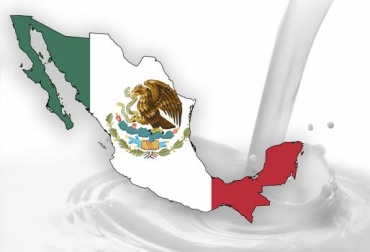 La leche es el tercer producto pecuario en importancia económica para los mexicanos. Foto: Medical News Today / Segundo Enfoque. ganadería, ganadería colombia, noticias ganaderas colombia, contexto ganadero, México, leche México, producción de leche en México, lechería mexicana, ganaderos mexicanos, sagarpa, Jalisco, Coahuila, Durango, Chihuahua, Guanajuato, Veracruz, Puebla, México, Aguascalientes, Chiapas