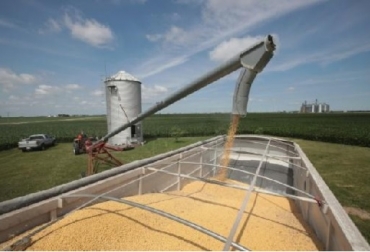 Un agricultor carga granos de soja en un camión, el 13 de junio de 2018 en Dwight, Illinois, EEUU. Foto: AFP Estados Unidos, ayuda a agricultores, Estados Unidos anuncia ayuda a agricultores, guerra comercial, UE, China, Canadá, México, Donald Trump, aranceles al aluminio, aranceles al acero Pekín, aranceles a importaciones estadounidenses, aranceles a productos del agro, Aranceles a la carne de cerdo, Sonny Perdue, Ganadería, ganadería colombiana, noticias ganaderas, noticias ganaderas Colombia, CONtexto ganadero