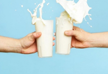 El país manito arrancará una campaña para fortalecer el consumo del lácteo y sus derivados. Foto: noticiasenfasis.com.mx. Ganadería, ganadería colombia, noticias ganaderas, noticias ganaderas colombia, CONtexto ganadero, Secretaría de Agricultura, Desarrollo Rural, pesca y alimentación, Sagarpa, Comisión Ejecutiva de la Leche, Baltazar Hinojosa Ochoa, subsecretario de Agricultura, Jorge Luis Zertuche Rodríguez, subsecretario de Alimentación y Competitividad, Ignacio de Jesús Lastra Marín, ASERCA, Alejandro Vázquez Salido, Confederación Nacional de Organizaciones Ganaderas, Cámara Nacional de la Industria Lechera, Jalisco, Coah