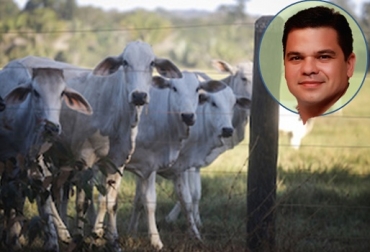 Un proceso eficiente de sacrificio de ganado bovino debe contar con procedimientos de pre-faenado que aporten calidad e inocuidad al producto final, afirma Luis Moreno. pre-faenado, bienestar animal, sacrificio, calidad de la carne bovina, estrés, la calidad de la carne de bovino depende en gran parte del bienestar animal antes de su sacrificio, aspectos que se alteran: el pH color textura y vida de anaquel de la carne. Estas alteraciones son derivadas del estrés al cual se somete al animal antes del sacrificio, Ayuno, Carga de ganado bovino al trasporte,
