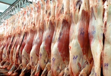 37 mil animales en pie saldrían del país en el último trimestre del año hacia diversos mercados. Foto: adndigital.com.py. exportaciones, exportaciones de ganado, ganado en pie, venta de ganado en pie, estatus sanitario, OIE, suspensión estatus sanitario, aftosa, aftosa boyacá, fiebre aftosa boyacá, foco de aftosa, 1 año de fiebre aftosa en Colombia, aniversario brote fiebre aftosa Colombia, zona de contención Colombia, ganaderos Colombia fiebre aftosa, Focos fiebre aftosa Colombia, fiebre aftosa en Colombia, brotes fiebre aftosa Colombia, CONtexto ganadero, ganadería colombia, noticias ganaderas colombia