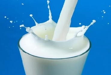 "Sin inspecciones, no hay forma de influir en la calidad de la leche", dijo Alejandro de Sá, investigador de Embrapa Gado de Leite Brasil, leche, nuevos estándares de calidad de leche, Brasil pospone la implementación de nuevos estándares de calidad de leche, recuentos de células bacterianas y somáticas, Ganadería, ganadería colombiana, noticias ganaderas, noticias ganaderas Colombia, CONtexto ganadero