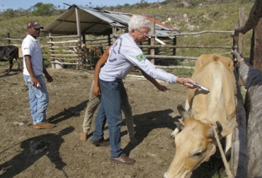 El proceso dio inicio el pasado 9 de noviembre en Roraima. Foto: agricultura.gov.br. Ganadería, ganadería colombia, noticias ganaderas, noticias ganaderas colombia, CONtexto ganadero, Venezuela Panaftosa Cosalfa 2018, ciclo vacunación aftosa Venezuela 2018, Fiebre aftosa, fiebre aftosa Venezuela, certificación fiebre aftosa venezuela, sanidad animal, paises libre de fiebre aftosa, ganadería Venezuela, Fedenaga, vacunación contra la aftosa en venezuela, noviembre vacunación contra la aftosa en venezuela, Guillermo Marques, Departamento de Salud Animal, Ministerio de Agricultura, Pecuaria y A