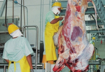 Brasil exportaciones de carne Foto ilustración: Fedegán Brasil, producción total de carne vacuna, exportación de carne vacuna, Brasil exportó en 2018, el 26% de su producción de carne vacuna, Hong Kong y China son los principales destinos para la carne brasileña , contexto ganadero, noticias ganaderas, carne