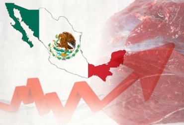 El objetivo de México es llegar a ser un importante jugador en materia cárnica a nivel internacional. Foto: CONtexto ganadero. Ganadería, ganadería colombia, noticias ganaderas, noticias ganaderas colombia, CONtexto ganadero, méxico, carne méxico, producción de carne en méxico, secretaría de agricultura de méxico,