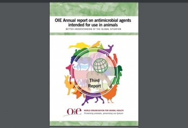 Una de las recomendaciones clave de la OIE es que los países suspendan progresivamente el uso como promotores del crecimiento de los agentes antimicrobianos considerados de importancia crítica". Foto: OIE (carátula informe) OIE, OIE Annual report on antimicrobial agent intended por use un animals, promotores de crecimiento, regulaciones sobre el uso de agentes antimicrobianos, Contexto ganadero, noticias ganaderas, bovinos