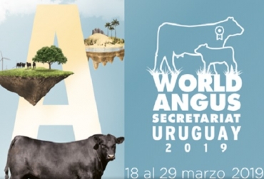 Este evento se realiza cada 4 años y congrega a más de 20 asociaciones Angus en el mundo. Foto: http://angusuruguay.com Uruguay, Aberdeen Angus del Uruguay, Aberdeen Angus: Descubra la última gran estancia, Sociedad de Criadores de Aberdeen Angus del Uruguay (S.C.A.A.U.), organiza el Secretariado Mundial Angus 2019 (World Angus Secretariat - Uruguay 2019), contexto ganadero, noticias ganaderas, vacas, noticias internacionales