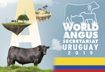 Un colombiano hará parte del evento que congrega los más reconocidos criadores y expertos de Angus en Uruguay la próxima semana. Foto: angusuruguay.com Evento Angus, angus en colombia, ganadería angus, Ganadería Tierraleja Aberdeen Angus, Antonio José Piñeros, Angus puro, Uruguay, Aberdeen Angus del Uruguay, Aberdeen Angus: Descubra la última gran estancia, Sociedad de Criadores de Aberdeen Angus del Uruguay (S.C.A.A.U.), organiza el Secretariado Mundial Angus 2019 (World Angus Secretariat - Uruguay 2019), CONtexto ganadero, noticias ganaderas, vacas, noticias internacionales