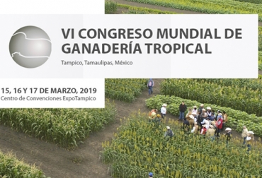 La sexta versión del congreso incluirá una sesión de ponencias que fueron presentadas previamente por los interesados. Foto: ganaderia.com VI Congreso Internacional de Ganadería Tropical, ganadería México, ganaderos México, Comercialización y mercado, reproducción y genética, nutrición y forrajes, Salud Animal, Uso racional del suelo y el agua, producción y rentabilidad, CONtexto ganadero, ganaderos colombia, noticias de ganadería colombiana