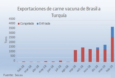 El mercado turco prefiere carcasas pesadas, de más de 300 kilos, de carne magra procedente de animales enteros. Foto: Tardaguila.com Brasil, Turquia, Turquía redujo a cero el arancel a la importación de la carne vacuna, En febrero Turquía fue el segundo principal destino para la carne enfriada exportada por Brasil con 1.120 toneladas, Novillos pesado, CONtexto ganadero, noticias ganaderas, bovinos