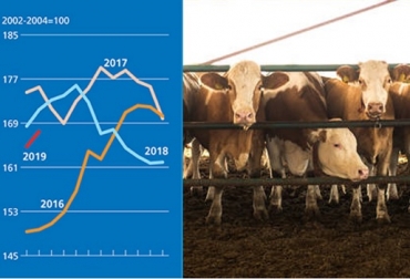 Los precios mundiales de los alimentos subieron en febrero, impulsados por fuertes aumentos en los productos lácteos. Gráfica y foto: FAO FAO, Indice de alimentos FAO, fuertes aumentos en los productos lácteos en febrero de 2019, Contexto ganadero, noticias ganaderas, leche, carne