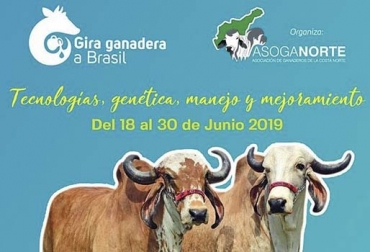La gira ganadera de Asoganorte arranca en Barranquilla y recorrerá explotaciones en el estado de Minas Gerais en Brasil. Foto: @asoganorte Gira ganadera Brasil Asoganorte, Gira ganadera Brasil Asoganorte 2019, Asoganorte 2019, gira ganadera Asoganorte, gira ganadera Brasil, ganadería Brasil, recorrido ganadería Brasil, gira ganadería Brasil, gira técnica ganadera Asoganorte, Eventos Asoganorte 2019, ganaderos Caribe 2019, ganaderos Caribe Colombia, CONtexto ganadero, ganaderos colombia, noticias ganaderas de colombia