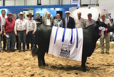 Antonio Piñeros, delegado de la Asociación Angus & Brangus de Colombia, con otros participantes entregaron el premio a la Gran Campeona Reservada Angus en Secretariado Mundial Angus Uruguay 2019. Foto: Cortesía Confederación Latinoamericana de Productores de Angus, Colappa, Evento Angus, angus en colombia, ganadería angus, Ganadería Tierraleja Aberdeen Angus, Antonio José Piñeros, Angus puro, Uruguay, Aberdeen Angus del Uruguay, Aberdeen AngusSociedad de Criadores de Aberdeen Angus del Uruguay (S.C.A.A.U.), organiza el Secretariado Mundial Angus 2019 (World Angus Secretariat - Uruguay 2019), CONtexto ganadero, noticias ganaderas, vacas, noticias internacionales