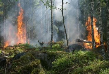 En el programa Visual Seveif todo esto está contemplado con el objetivo de que la estimación del impacto económico de los incendios forestales sea lo más precisa posible. Foto: Pixabay. Ganadería, ganadería colombia, noticias ganaderas, noticias ganaderas colombia, CONtexto ganadero, economía ambiental, Universidad de Córdoba. Sistema de Evaluación Económica de Incendios Forestales, Visual Seveif, incendios forestales, incendios europa, incendios españa, agencia sinc,