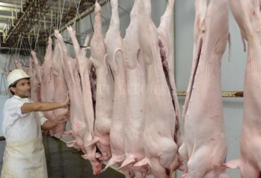 El Ministerio de Agricultura y el ICA revelaron que el país está próximo a exportar carne de cerdo hacia el gigante asiático. Foto: ellitoral.com Exportación carne China, exportación carne Colombia China, venta carne China, carne res Colombia China, carne porcina, peste porcina africana China, Admisibilidad carne Colombia China, carne Colombia China 2019, Carne colombiana, carne colombiana a china, envío de carne colombia a china, acuerdo comercial entre colombia y china, mercado internacional de la carne, CONtexto ganadero, ganadería colombia, noticias ganaderas colombia