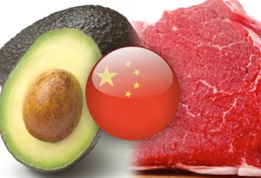 El objetivo de la visita es acelerar el ingreso de estos 2 productos a suelo chino. Foto: CONtexto ganadero. Ganadería, ganadería colombia, noticias ganaderas, noticias ganaderas colombia, CONtexto ganadero, Exportación carne China, exportación carne Colombia China, venta carne China, carne res Colombia China, carne porcina, peste porcina africana China, Admisibilidad carne Colombia China, carne Colombia China 2019, Carne colombiana, carne colombiana a china, envío de carne colombia a china, acuerdo comercial entre colombia y china, mercado internacional de la carne