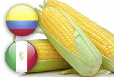 Los sistemas de producción tradicional y tecnificado son una de las similitudes entre Colombia y México. Foto: agronegociosintegrados.blogspot.com - iconspedia.com Ganadería, ganadería colombia, Ganadería colombiana, CONtexto ganadero, noticias ganaderas, noticias ganaderas colombia, méxico, Colombia, maíz méxico, maíz colombia, diferencias colombia y mexico, semejanzas colombia y mexico, produccion tradiiconal maiz, produccion tradicional mexico, agricultura, agricultura méxico, Agricultura Colombia
