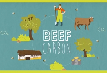 El programa se extenderá durante 10 años hasta 2025 y busca producir carne de forma más amigable con el medio ambiente. Foto: agropopular.com Carbón, gases de efecto invernadero, GEI, agua, calidad del agua, Life Beef Carbon, programa beef carbon, ganadería sostenible Europa, ganadería baja carbono, ganadería carbono, reducción de emisión de gases de efecto invernadero, Ganadería emisión GEI, proyecto ganadería Colombia, emisión gases efecto invernadero, huella de carbono, gases de efecto invernadero, beneficios de los sistemas silvopastoriles, beneficios de la ganadería, CONtexto ganadero, ganaderos Colombia, noticias ganaderas Colombia
