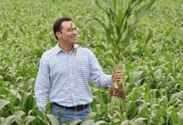 Se trata de un grano pequeño y sustentable, que ayudará a los agricultores a enfrentar los retos del cambio climático que ya está haciendo efecto en los campos. Foto: eleconomista.com.mx Ganadería, ganadería colombia, Ganadería colombiana, CONtexto ganadero, noticias ganaderas, noticias ganaderas colombia, agricultura, agricultura méxico, cultivo maix, maíz, maíz méxico, hibrido de maiz, hibrido de maiz mexico, agricultores mexico, agricultores