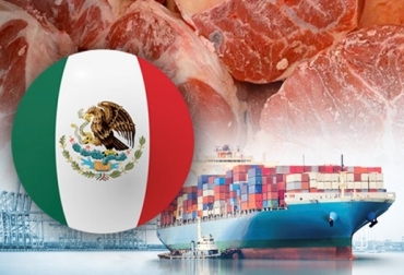 La industria agroalimentaria de México tiene resultados positivos con las alianzas público-privadas y la vinculación con tecnologías innovadoras. Foto:teamstudio.squarespace.com - pikpng.com - bajopalabra.com.mx México, exportaciones, exportaciones industria cárnica, México exportaciones 2019, producción bovina, CONTexto ganadero, noticias ganaderas